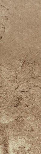 4829a9e42aef68c4d6aa38575bcca33d