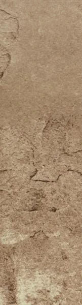 4829a9e42aef68c4d6aa38575bcca33d