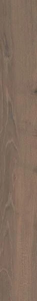 7684c7bee0b0c6ce056fbddc16003b74