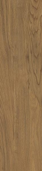 a88e666831998daee93a51fb39af55a0