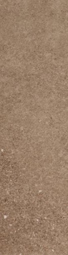 52e46cd5491541b257e269b686c4e067