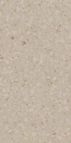 8db6d0cac6f10ecba85f9afeeb07b5b8