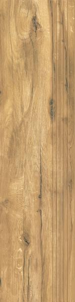 6c303cdeff138bd9f0c6b7e93adc0ca9