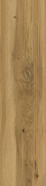 c5e790b9bbab4a9e6fc8f17b746d41bf