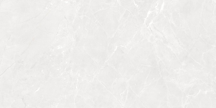 Gekko_White_60x120_ (11).jpeg