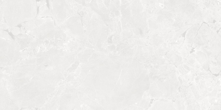 Gekko_White_60x120_ (12).jpeg