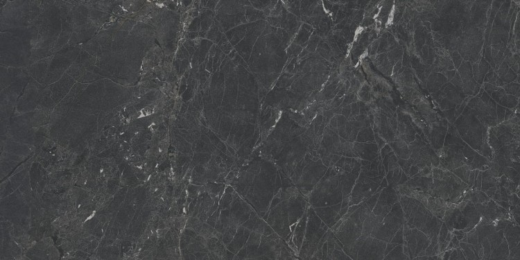 Gekko_Black_60x120_ (12).jpeg