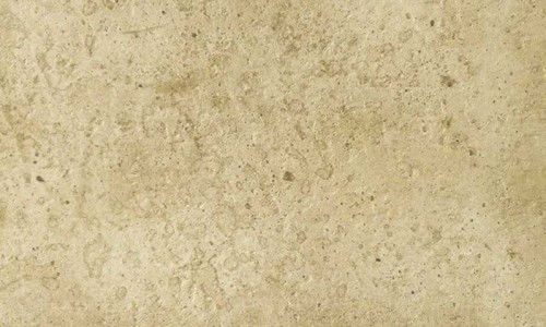 a9f52855a8e72ead6ccfb8828a71ae58