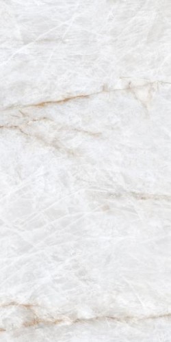 4b0e117b2602fb2452a780d02cb56c96