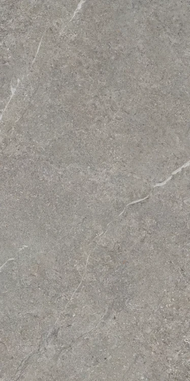 MISTY ROCK GREY MAT 59,8x119,8_T1.webp
