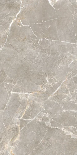 PROUD CHAMPAGNE CREMA STRUKTURA MAT 59,8x119,8_T1.webp