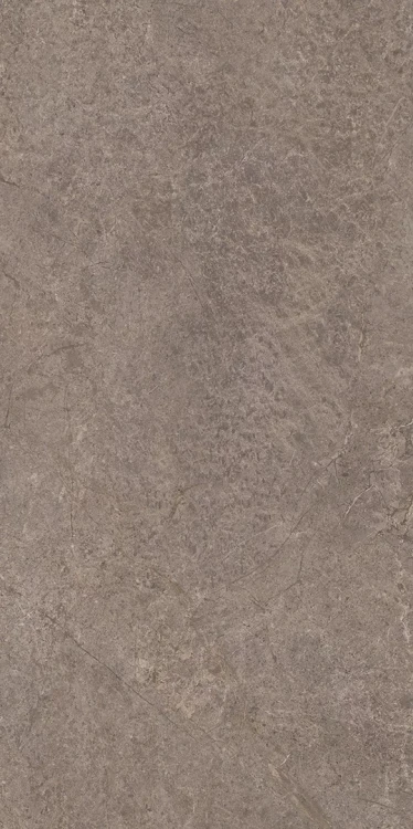 URBAN CHAMPAIGNE NAURALE STRUKTURA MAT 59,8x119,8_T2.webp