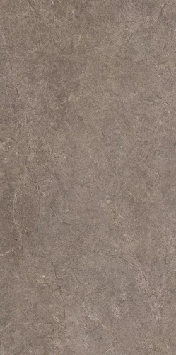 URBAN CHAMPAIGNE NAURALE STRUKTURA MAT 59,8x119,8_T1.webp