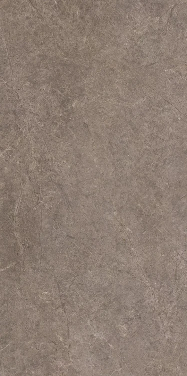 URBAN CHAMPAIGNE NAURALE STRUKTURA MAT 59,8x119,8_T1.webp