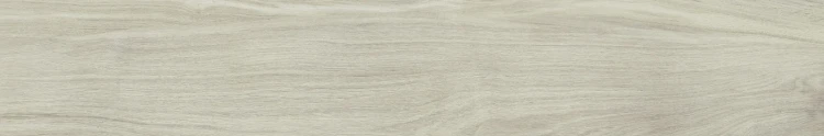 256_LIMONE-322451070.webp