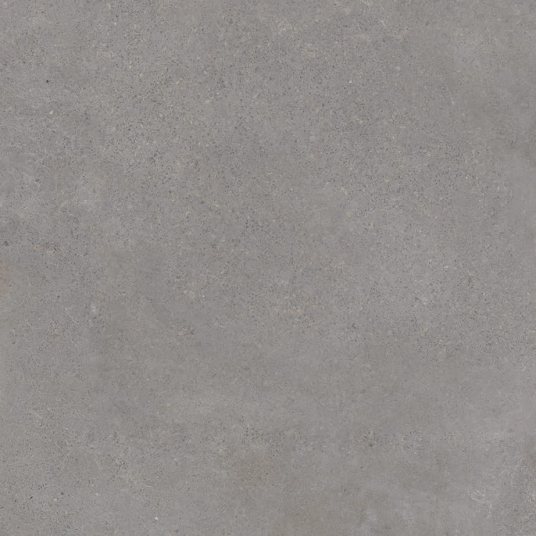4688_LIMONE-TORO02.jpg