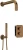 52997_BXYZCEBT.webp
