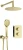 53013_BXYZREBT.webp