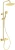 53948_NAC_Z1QK.webp