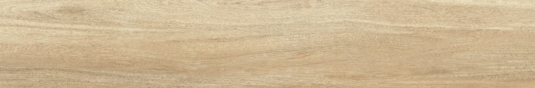 20X120 RODENO ROBLE.jpg