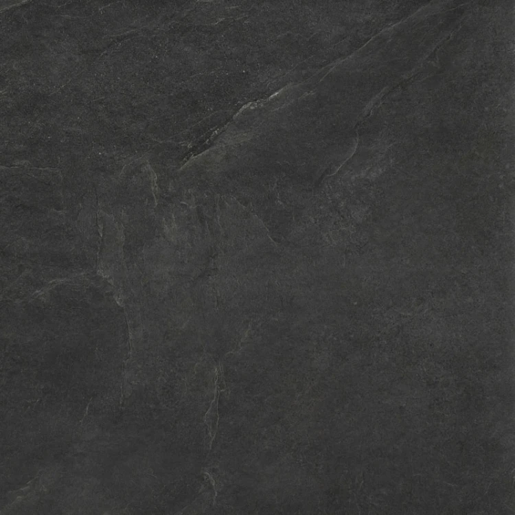 LIMONE-ASH7517.webp