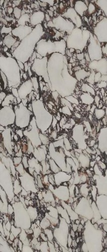 b20196b52553c588a48f886537dab044