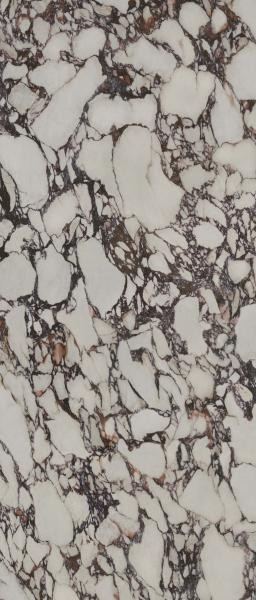 b20196b52553c588a48f886537dab044