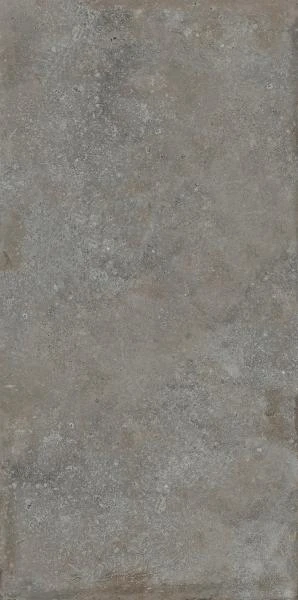 edcfe7552efa5e3dce882ef6608d7ff4