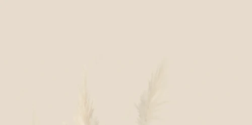 76e9acdb2d0f7a1dbbcc7de26fea47f2
