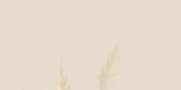 76e9acdb2d0f7a1dbbcc7de26fea47f2