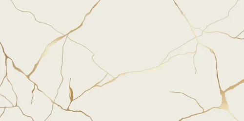 39b500d02712d2d176d3d2ce1fd577c2