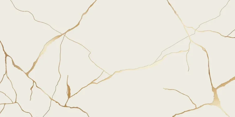 39b500d02712d2d176d3d2ce1fd577c2
