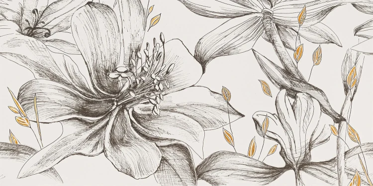 04574df3b01146fd244679f40f8ae56f