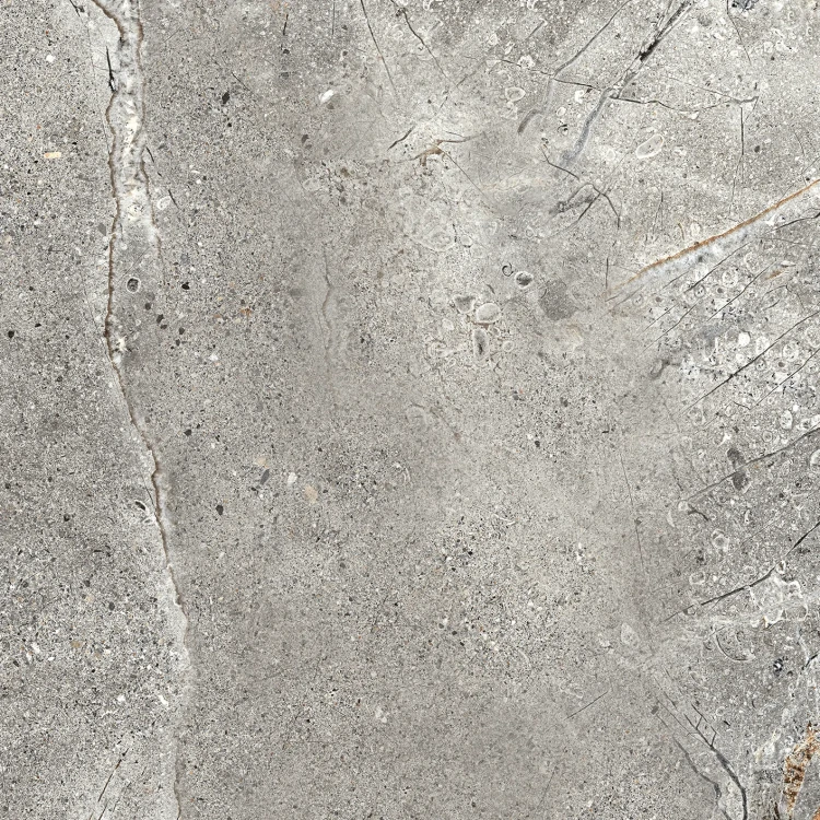 Oxide Grey 60x60 F1.webp