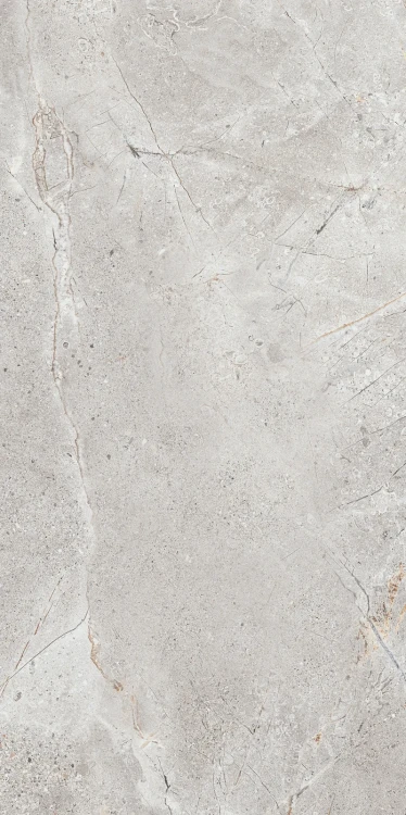 Oxide Gris 60x120 F1.webp