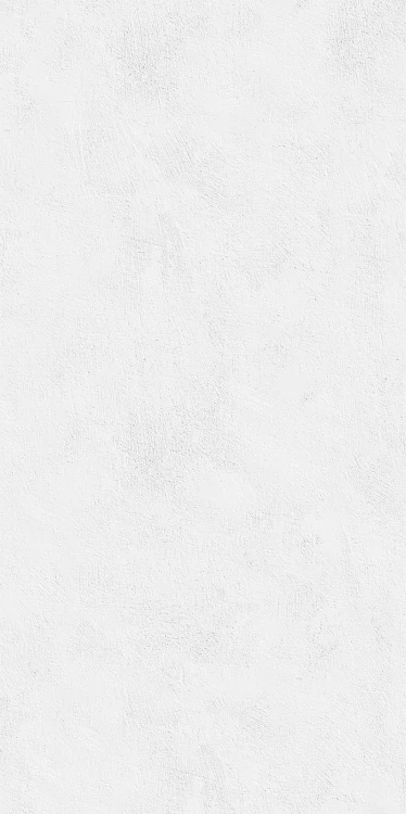 Płytka-ścienna-Echo-Brush-silver-STR-59,8x119,8-Gat.1.jpg