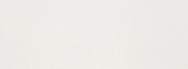 Tubądzin-Elle-White-32,8x89,8-gladka.jpg