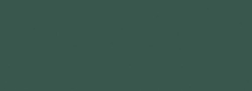 PS-Fashion-green.jpg