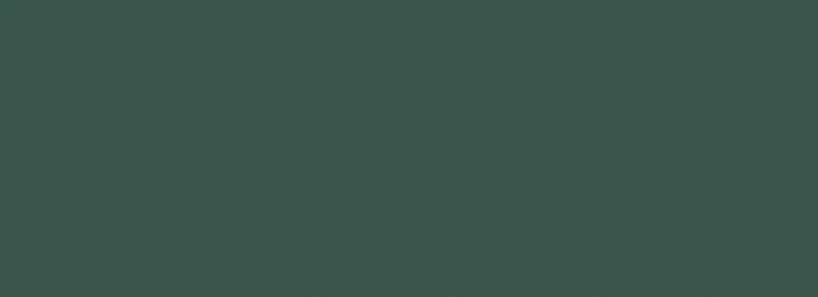 PS-Fashion-green.jpg