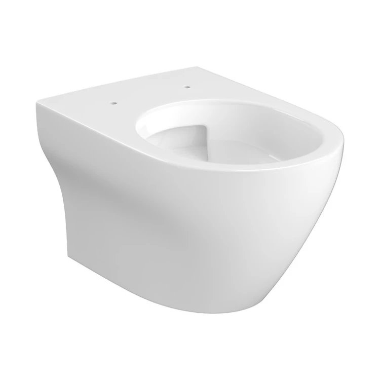 k677-160_larga_pro_oval_wall_hung_bowl_vortex_a,qnuMpq2lq3GXrsaOZ6Q.jpg