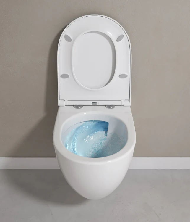 WALL_HUNG_BOWL_ZEN_TOP_WATER_BATHROOM.webp