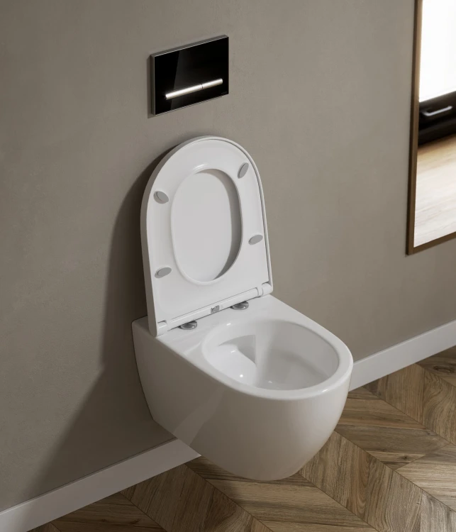 WALL_HUNG_BOWL_ZEN_SIDE_WATER_BATHROOM.jpg