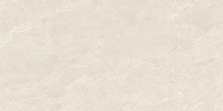 DPS_lunar_60x120_3-1.webp