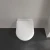 pol_pl_Villeroy-Boch-Subway-2-0-miska-WC-wiszaca-56-5x37-cm-bezrantowa-deska-wolnoopadajaca-slim-5614R201-22845_7.webp